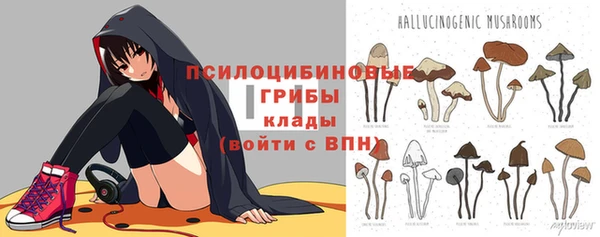 spice Краснослободск