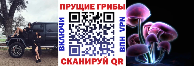 Псилоцибиновые грибы прущие грибы  Купить закладки  Клин 